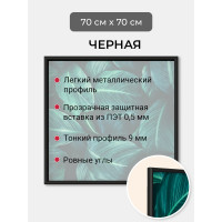 Фоторамка ООО Первое ателье Черная алюминиевая рамка 70x70 см Niel-2nm-70x70