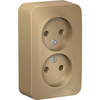 Розетка Systeme Electric Blanca о/у, двойная, без заземления, без штор., 16а, 250в, титан BLNRA000204