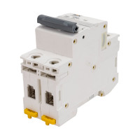 Автоматический выключатель IEK M06N 2P C 50А AR-M06N-2-C050