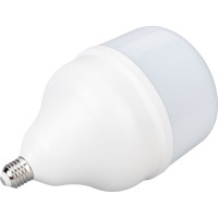 Светодиодная лампа Ecola High Power LED Premium 100W 220V универс. E27/E40 лампа 6000K 260x150mm HPD100ELC