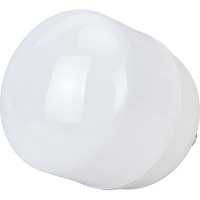 Светодиодная лампа Ecola High Power LED Premium 100W 220V универс. E27/E40 лампа 6000K 260x150mm HPD100ELC
