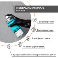 Эмаль универсальная акриловая DONEWELL RAL 9005 чёрная матовая DW-A9005M