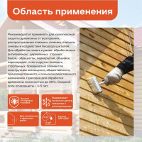 Огнебиозащита Obern 5 л 13465