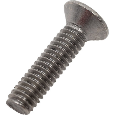 Винт ЦКИ DIN965 М2.5х10 A2 Ph 1 100 шт. 23613