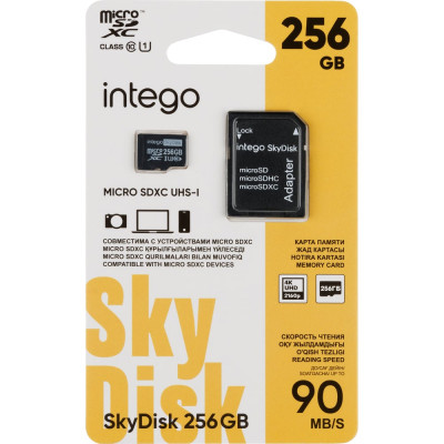 Карта памяти SkyDisk 256GB INTEGO SD-256