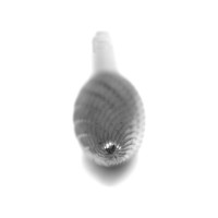 Борфреза твердосплавная Bohre пламевидная, тип H 16-36-М-06-L81 КБ001441