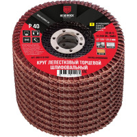 Круг шлифовальный лепестковый торцевой 125х22 мм, Р40 (компл. 10 шт.) HEADROCK 688-010-040