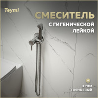Смеситель с гигиенической лейкой Teymi Lina, хром T10229 ЦБ-00269220