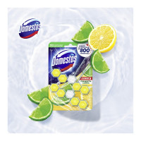 Блок для очищения унитаза дуо свежесть лайма POWER 5 DOMESTOS 7X(2x55G) 8710447326039