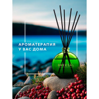 Декоративный ароматизатор Breesal aromatherapy Вдохновение (8) ARST/004