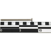 Винт д/сифона АНИ Пласт М6х85 M685 025-1144