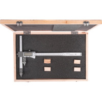 Межцентровой электронный штангенциркуль 0.01, 20-300 SHAN ШЦЦСЦ- 2- 300 123701