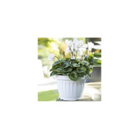 Горшок Bama Spa 34085 Terra диаметр 25 см высота 18.5 см 5,7 л белый 069566