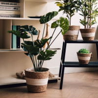 Плетеное кашпо Natural House "Танзания", Д255 Ш255 В230, натуральный, белый Lishan-04 L