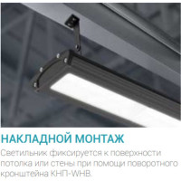 Кронштейн поворотный NEOX КНП-WHB черный 4690612058450