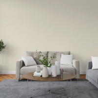 Интерьерная краска Paritet 2.5 л, благородная глина PDRMC-05