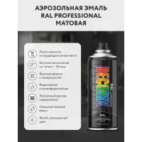 Аэрозольная эмаль Decorix RAL ПРОФЕССИОНАЛЬНАЯ сигнальный белый МАТОВЫЙ RAL 9003 520 мл 0138-9003m DX