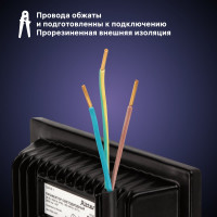 Светодиодный прожектор RITTER серия PROFI 230В 30 Вт 4000К 3000Лм IP65 черный 53416 1