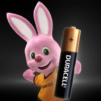 Батарейка LR MN 2400/LR03 Basic BP2 2шт Duracell 116465