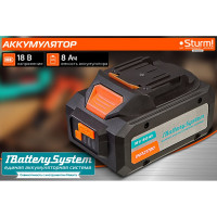 Аккумулятор Sturm 1BatterySystem SBP1808HP