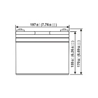 Аккумулятор тяговый WBR EVX36-12G 12В, 36 Ач УТ-00001346