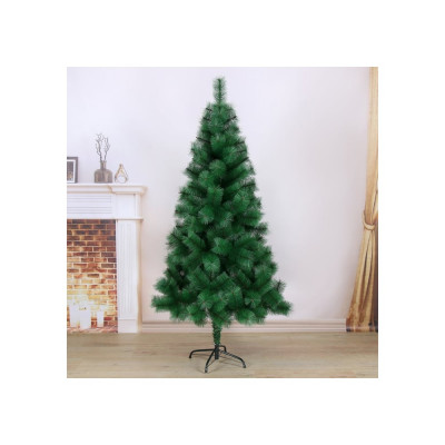 Кедр Зимнее волшебство 701339