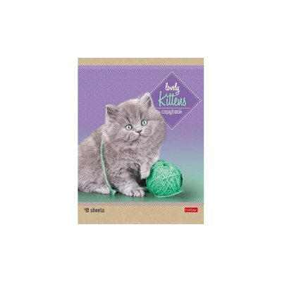 Тетрадь Hatber 48л, А5, линия, на скобе, 5 диз., в блоке, скругл. углы 10 шт 47012