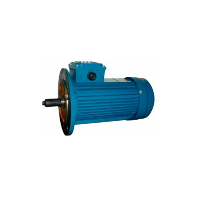 Электродвигатель 5АИ 90 LB8 1.1/750 IM 3081 01.01.213639