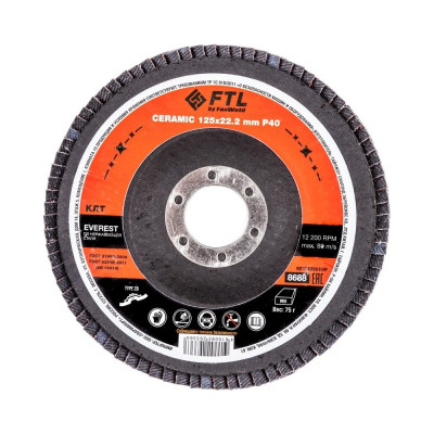 Круг лепестковый по нержавеющей стали Everest 29 (125x22.2 мм; P40) FTL 8688