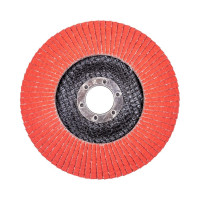 Круг лепестковый по нержавеющей стали Everest 29 (125x22.2 мм; P100) FTL 8691