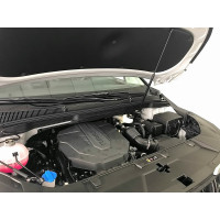 Упоры капота для KIA Carnival, 2020-, 1 шт ARBORI HD.022107
