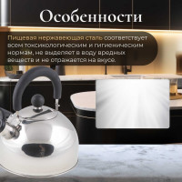 Чайник PERFECTO LINEA Holiday со свистком 2.5 л 52-121518