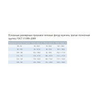 Мужские летние брюки Техноавиа Крафт, размер 88-92, рост 170-176 3793B