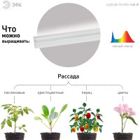 Линейный LED светильник ЭРА LLED-05-T5-FITO-14W-W ФИТО Б0028200