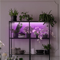 Линейный LED светильник ЭРА LLED-05-T5-FITO-14W-W ФИТО Б0028200