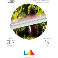 Линейный LED светильник ЭРА LLED-05-T5-FITO-14W-W ФИТО Б0028200