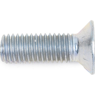 Винт ЦКИ DIN965 М10х30, цинк, аналог ГОСТ 17475-80 25 шт. 36836