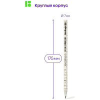 Чернографитный карандаш Berlingo green series newspaper pencil hb, заточенный BP01322