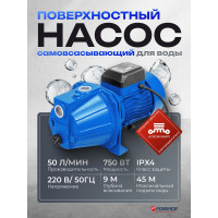 Насос самовсасывающий Forsage (230В, 50Гц, 750Вт, 50л/мин) (обмотка AL) F-JET 100S ALU(61141)