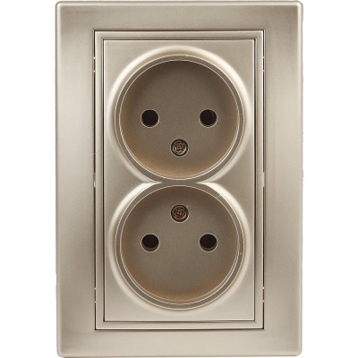 Розетка Intro 2х2P, 16А, 250В, IP20, СУ, Plano, шампань Б0030067