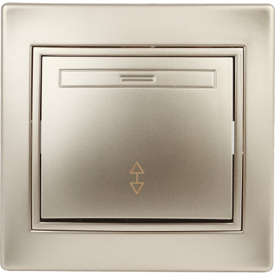 Переключатель Intro 10А 250В, IP20, СУ, Plano, шампань Б0030039