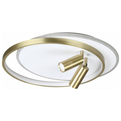 Потолочная люстра LUMION LED 63W NAOKO 5603_63CL