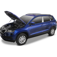 Газовые упоры Rival для капота Skoda Karoq 2020-н.в., 2 шт., A.ST.5108.1