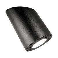 Настенно-потолочный светильник Lumina Deco Alesti LDC 8060-D JP-D80хH130 BK
