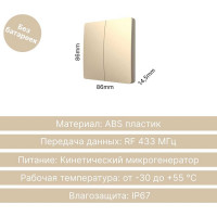 2-клавишный дистанционный выключатель GRITT Space золотистый, IP67, без реле 13008