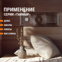 3-х постовая горизонтальная рамка TDM ELECTRIC "ЭКО" бук "Таймыр" SQ1814-0328