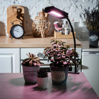 Светильник для растений светодиодный Uniel, на прищепке, спектр для фотосинтеза, 12 Вт, черный ULT-P31-12W/SPLE/40 IP40 BLACK SINGLE UL-00009250