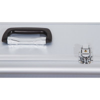 Алюминиевый кейс для монтировки Sky-Watcher EQ3 67863
