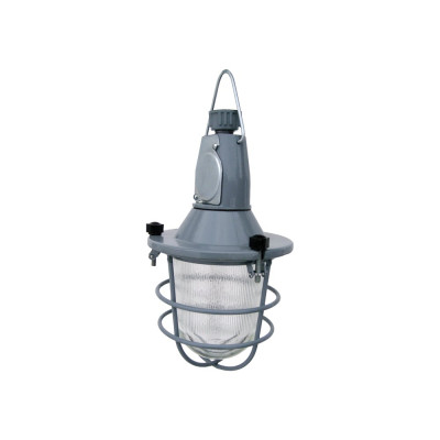 Светильник ЭЛЕТЕХ НСП-11-100-425 на крюк, трубу с решеткой IP62 1005550288