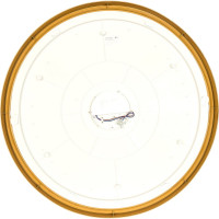 Светодиодный светильник Lumin'arte CLL20100W-STARWOOD-WH